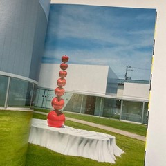 Towada City Contemporary Art Museum inter+play 001 Exhibition Catalog Arts Towad