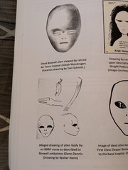 Roswell: The Chronological Pictorial