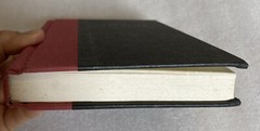 The Loser by Thomas Bernhard and Thomas Bernhard (1991, HCDJ) 1st American Edit.