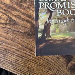 NLT Bible Promise Book for Tough Times by Ronald A. Beers (2011, Trade…