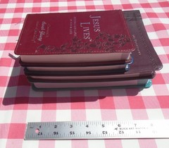 JESUS LIVES, JESUS TODAY BY SARAH YOUNG LOT OF 4 IMITATION LEATHER COVER