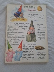 Gnomes by Wil Huygen Paperback 1979