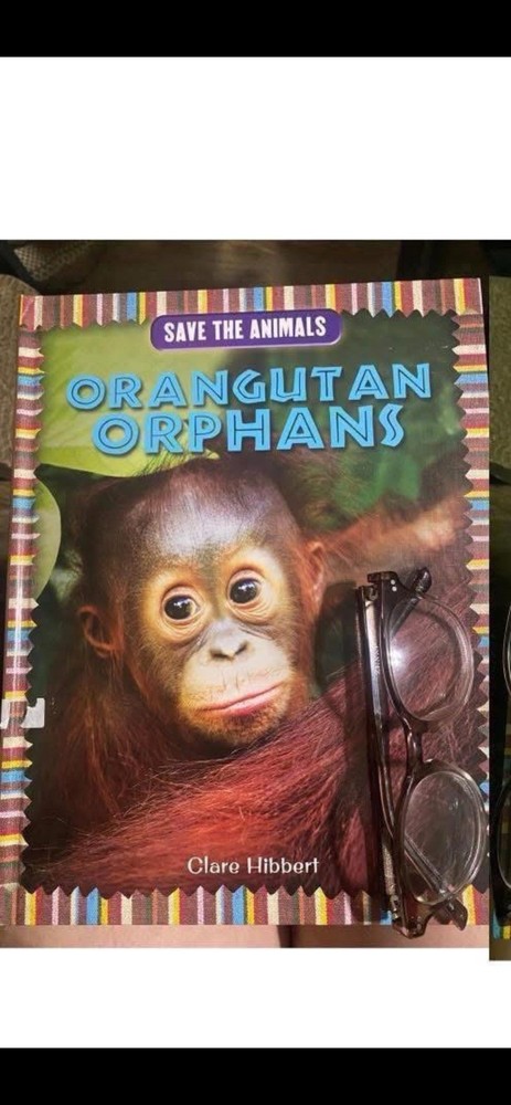 Kids Book Orangutan Orphans by Clare Hibbert