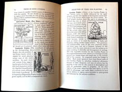 Antique Forestry Tree Identification Botany Nature Study 4 Book Lot 1919-1925