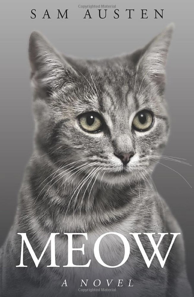 Meow Book for Cats – A Novel w/ only the word Meow, 345 pgs, by Sam Austen