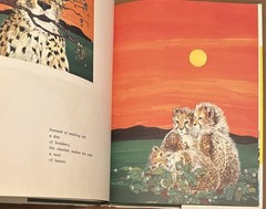 Tiger Flower by Robert Vavra Illustrated by Fleur Cowles 1968 HC/DJ First UK ED