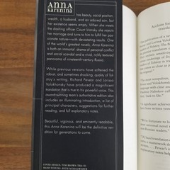 Anna Karenina Paperback Soft Cover Leo Tolstoy 800+ Pages Y2K Edition