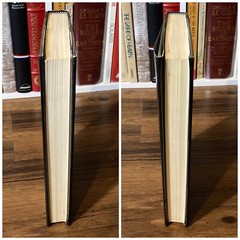 Rules of Prey – John Sandford (1st edition 2nd print) G.P. Putnam’s Sons, 1989