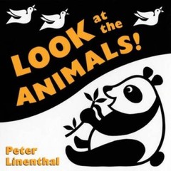 Look at the Animals – Board book By Linenthal, Peter – GOOD