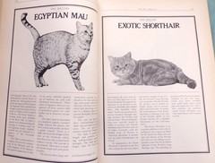 „Cat Catalog”, The Ultimate Cat Book, Large „Very Good” 1st Ed. Book, 352 pages