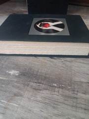 Twilight Stephenie Meyer First Collector’s Edition First Print With Slipcase