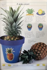 What Shall I Grow? – 0439081963, paperback, RAY GIBSON