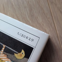 Shuji Terayama Japanese Literature Book Terayama Shuji 880 Yen Minor Wear