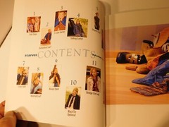 Scarves – a Knitter’s dozen – by XRX Books 83 pages