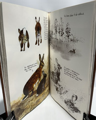 The Living Forest by Rien Poortvliet, 1979 Harry N. Abrams