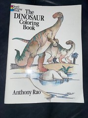 Dinosaur Coloring Book (Dover Nature Coloring Book) by Anthony Rao 90% Uncolored