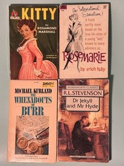 [LOT of 30] Vintage Paperbacks Great Authors & Titles Various Mixed Genres Clean
