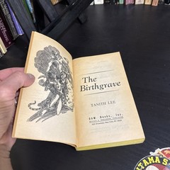 THE BIRTHGRAVE by Tanith Lee Vintage 1975 DAW 4th Print Fantasy PB VG