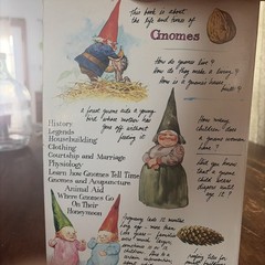 The #1 Bestseller Gnomes Forest Gnome Paperback Book