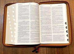 Russian/English Parallel Bible, Synodal/KJV, Brown Imitation Leather Zip LARGE