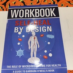 Workbook: Self-Heal by Design: an Interactive Guide to Barbara O’Neill’S Book