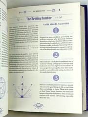 THE BOOK OF DIVINATION Predicting Future Michael Johnstone Deluxe Gilded Edges