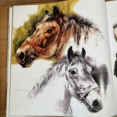 Rien Poortvliet’s Horses Book First Edition 1978 Hardcover with DJ Very Good