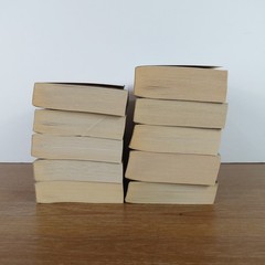 Lot of 10 Christine Feehan PBs Leopard People Drake Sisters Heart Stand Alone…