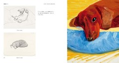 David Hockney Art Book 496 pages Painting Drawing Photo Collection Japan NEW