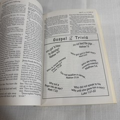 The Illustrated Bible – New Testament – Paperback By NIrV The Salvation Army