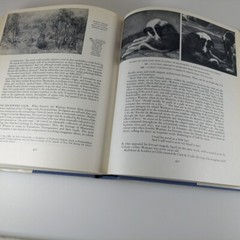 Art and the Spirit of Man By Rene Huyghe 1962 Harry N Abrams Illustrated HCDJ