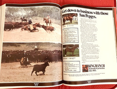 1979 Quarter Horse Journal, Book, STALLION EDITION! – KIDNAP BAR – ZAN PARR BAR