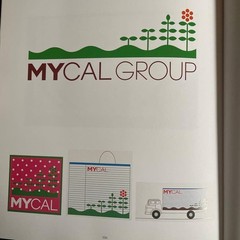 Emilio Ambers Architectural Works Collection Hardcover 334 Pages Japan