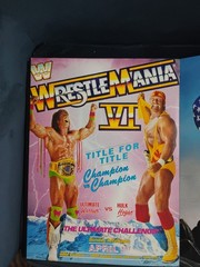 WWE: THE ULTIMATE POSTER COLLECTION (2015) Missing 1 Page (2 Posters)