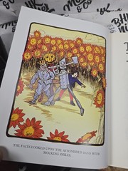 The Marvelous Land of Oz Books of Wonder L Frank Baum Hardcover