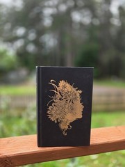 Shield of Sparrows Devney Perry SPRAYED EDGES 1st Edition OOP Hardcover