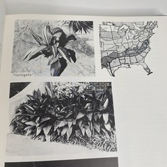 Know It & Grow It Guide II Identification and Use of Landscape Plants 720 Pages