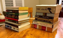 Lot of 17 Classic Lit Fiction Books (Varied Authors)