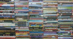 RANDOM Lot of 15 4th Grade AR Chapter Books RL Level 4.0-4.9 Homeschool Teacher