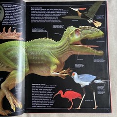 Guide to Dinosaurs by David Lambert (2000, DK Hardcover PERMA-BOUND) Children NF