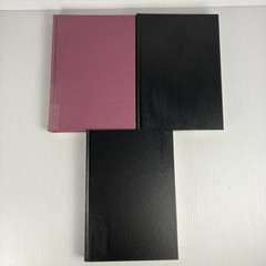 Public Women, Public Words 3 volume set : History of American Feminism HC