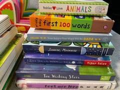 Board Books for Children/Kids/Toddler Babies/Preschool/Daycare Lot of 17 Learn