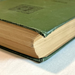 Atlas of Normal and Pathological Nervous Systems ~ 1896 ~ C. Jakob ~ Color Illus