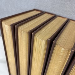 1944 The Smithsonian Institution Scientific Series Complete 12 Vol. Centennial