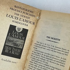 Vintage Louis L’Amour Lot Of 10 Paperback Books Bantam Assorted Western USA