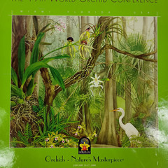 The 19th World Orchid Conference in Miami FL – 2008 (Hardcover Book) 504 Pages