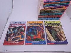 LOT OF 30: Vintage 90s RL Stine GOOSEBUMPS Books VG/EX All Different + Extras