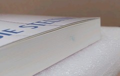 Kelsie Stelting – Chasing Skye, Signed, Bookworm Box Edition, Paperback, READ