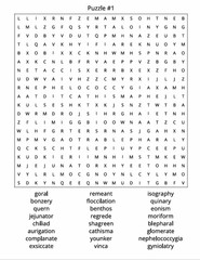 THE EXTREME WORD SEARCH CHALLENGE, 100 Puzzles and solutions, 8.5×11 inches
