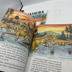Dinosaur Hardcover Books 1991 Janet Riehecky The Child’s World Series 18 Books